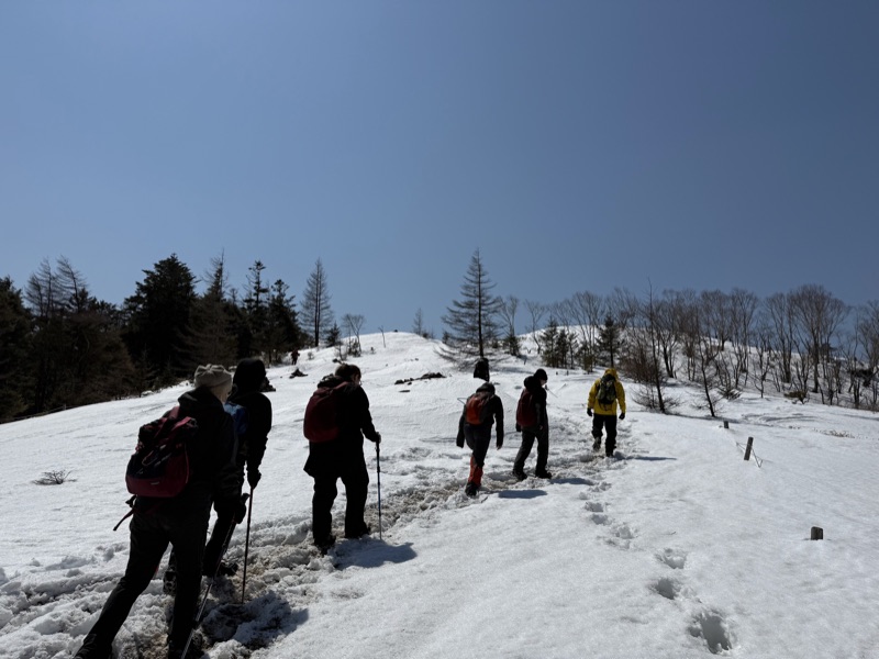 雪山登山の様子